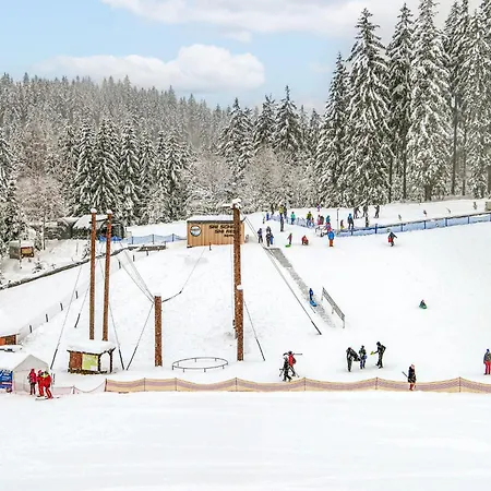 Alice Iii- By Interhome Lägenhet Harrachov